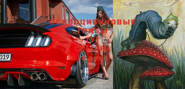 прущий лед Белокуриха