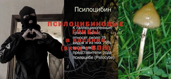 прущий лед Белокуриха