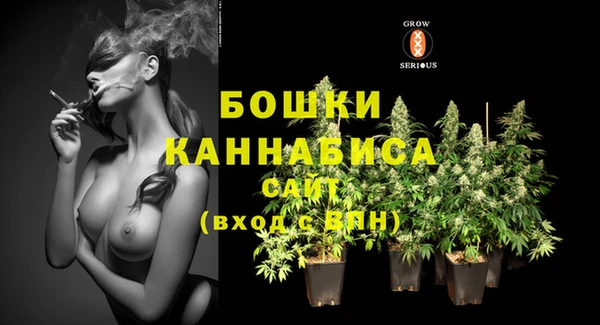 прущий лед Белокуриха