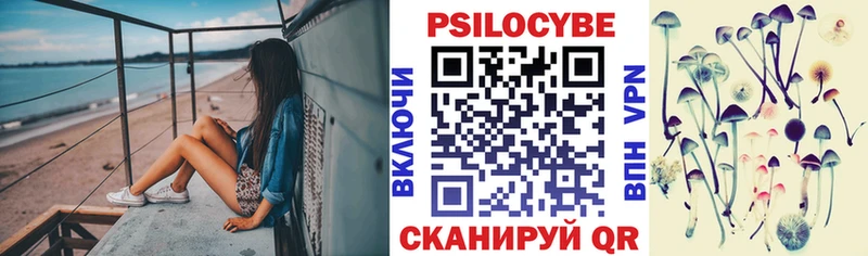 Псилоцибиновые грибы Psilocybe  Мариинский Посад 